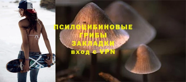 прущая мука Краснослободск