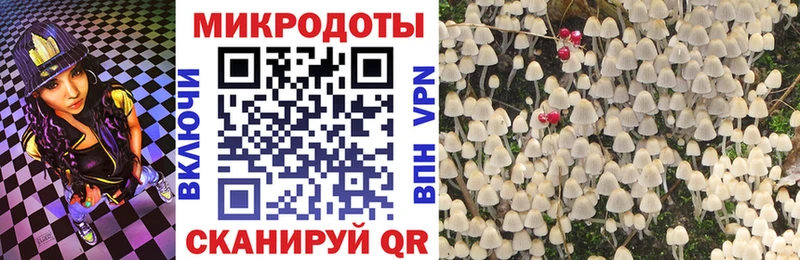 darknet клад  KRAKEN зеркало  Галлюциногенные грибы Cubensis  Дыгулыбгей  купить  