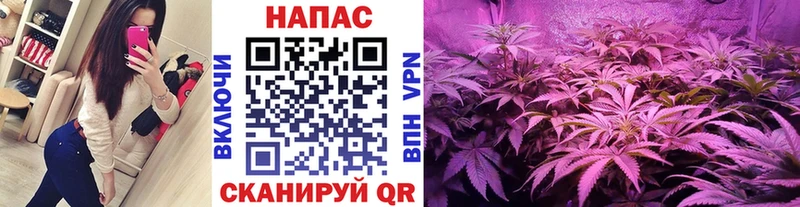 МЕГА онион  Дыгулыбгей  Марихуана семена 
